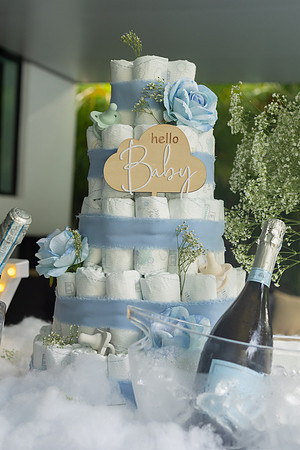tianna baby shower edited-64