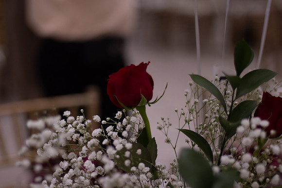 80TH (5 of 181)